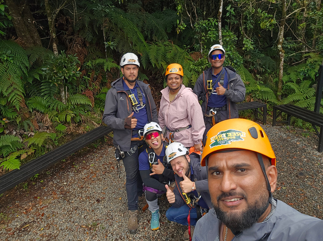 Tree Trek Boquete-波魁特必去景点