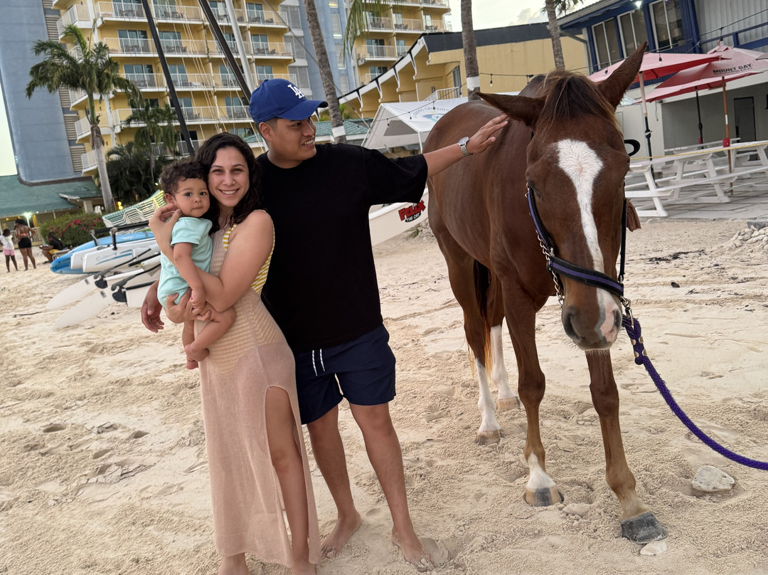 Pebbles Beach-布里奇顿必去景点