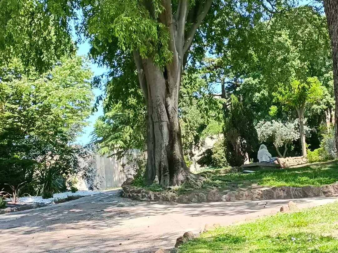 亚尔勒公园-阿尔勒必去景点