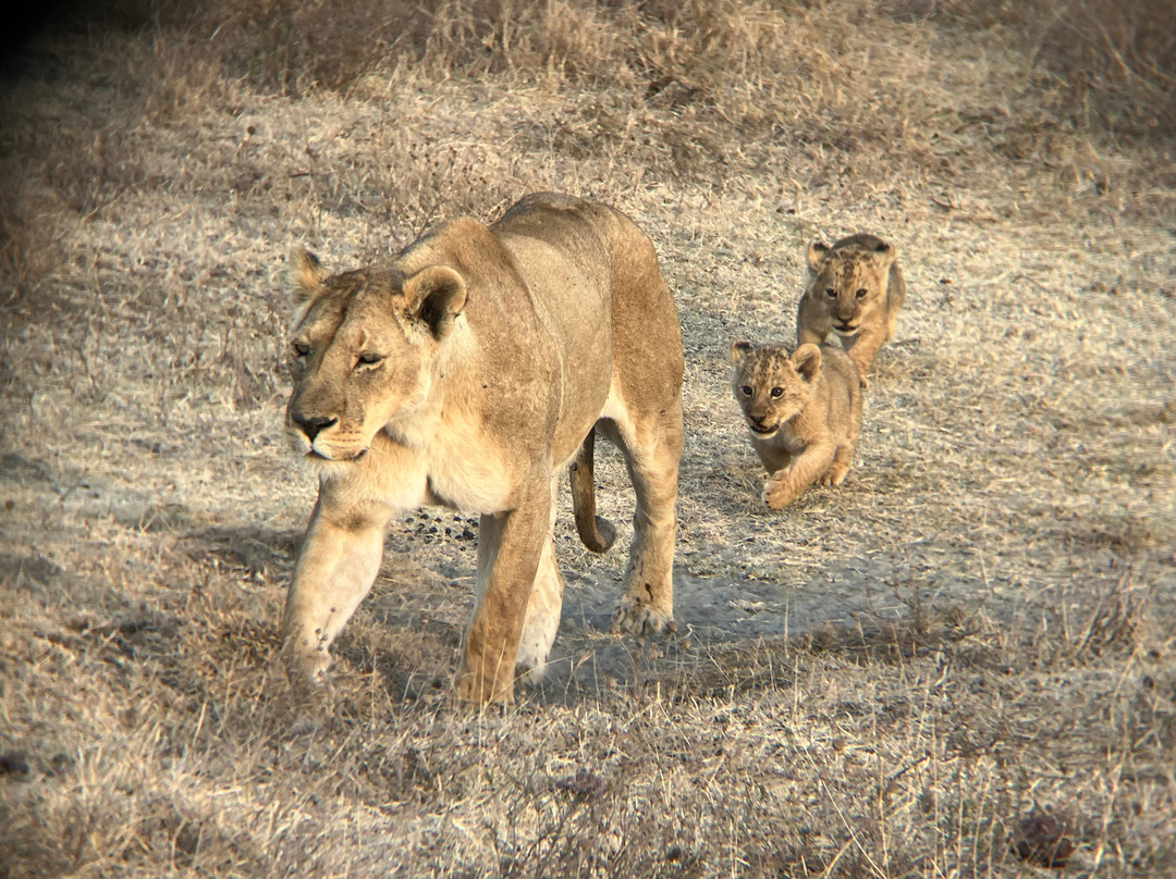 Access2Tanzania-阿鲁沙必去景点