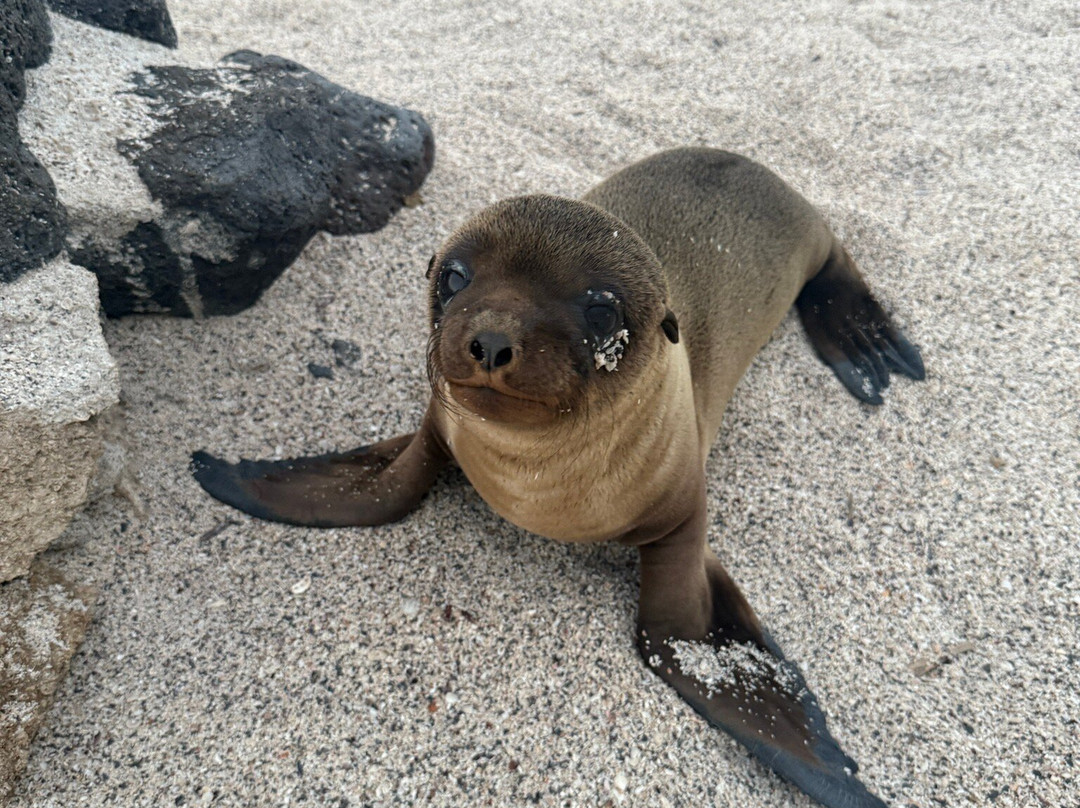 Galapagos Sunset Hotel主图