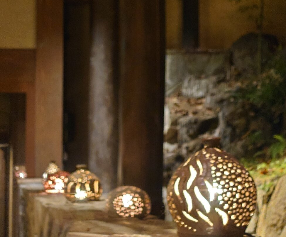 Seni Onsen Iwanoyu主图