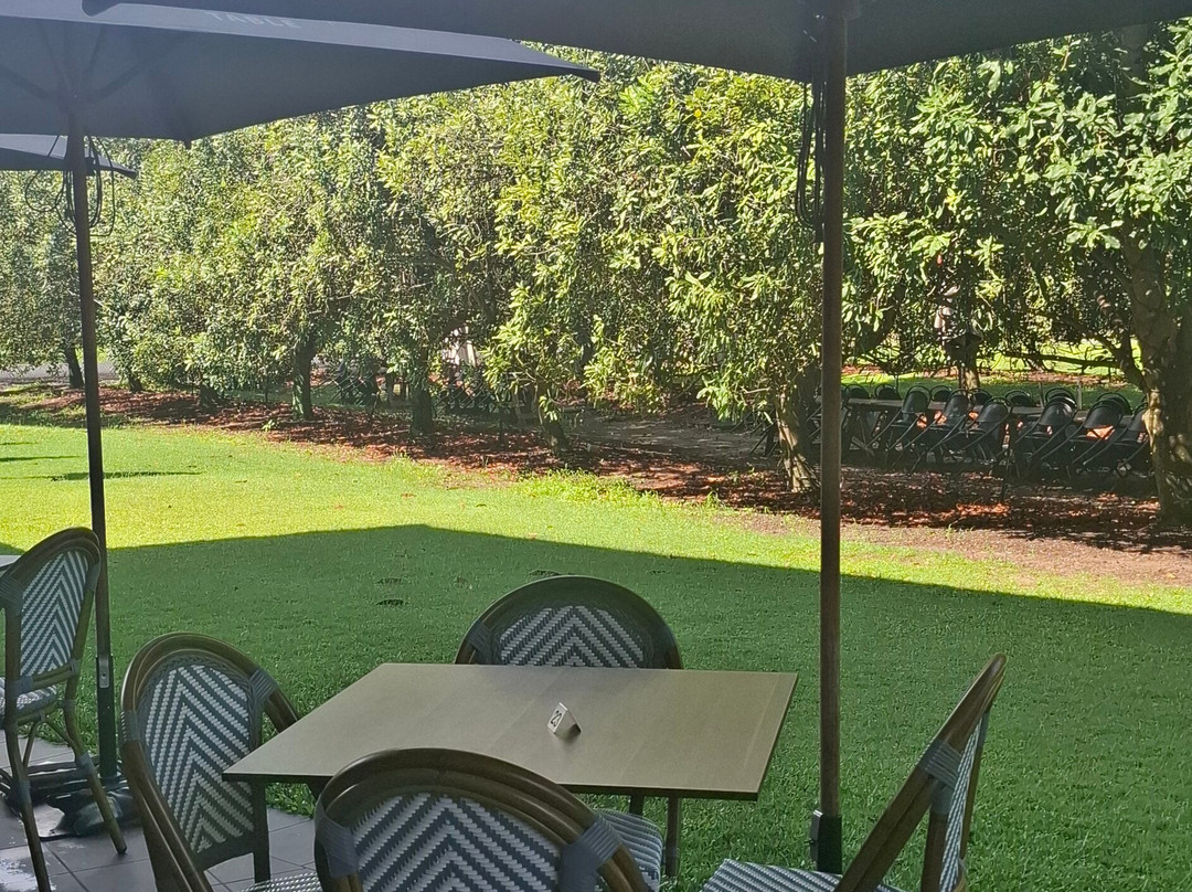 Macadamias Australia-邦德堡必去景点