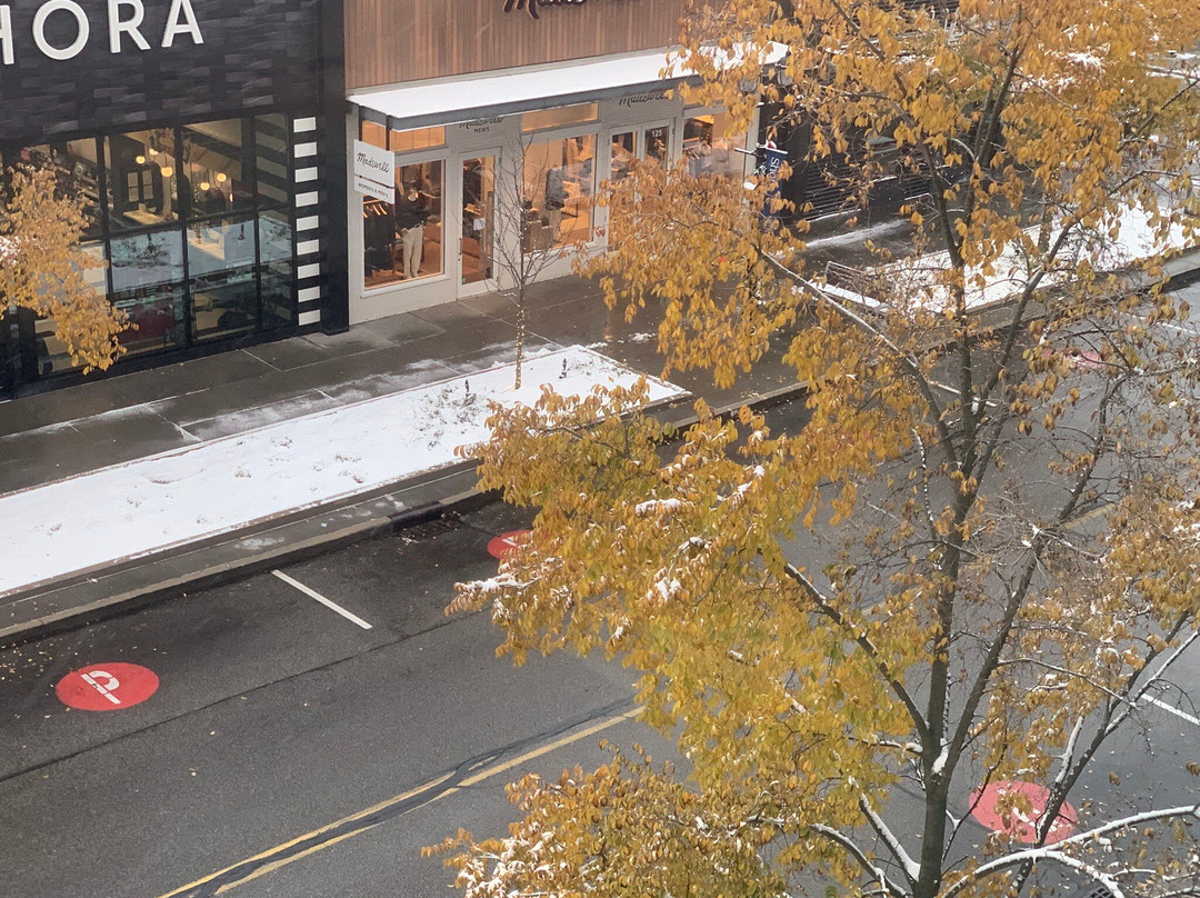 AC Hotel Cleveland Beachwood主图