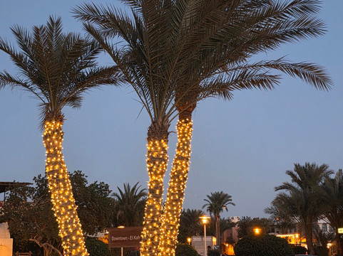 Hurghada Reiseberater-赫尔格达必去景点