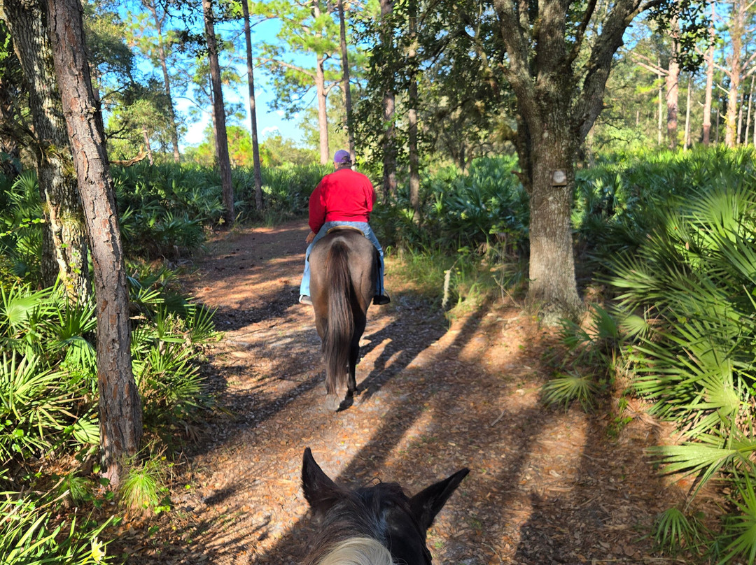 Wagon Wheel Horse Farm-奥基乔比必去景点