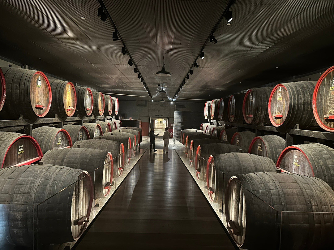 Penfolds Magill Estate Cellar Door-Magill必去景点