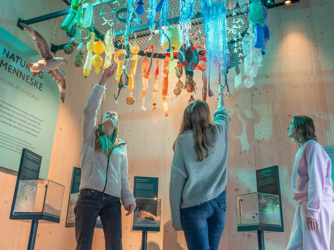 Ocean Stories-霍宁斯沃格必去景点