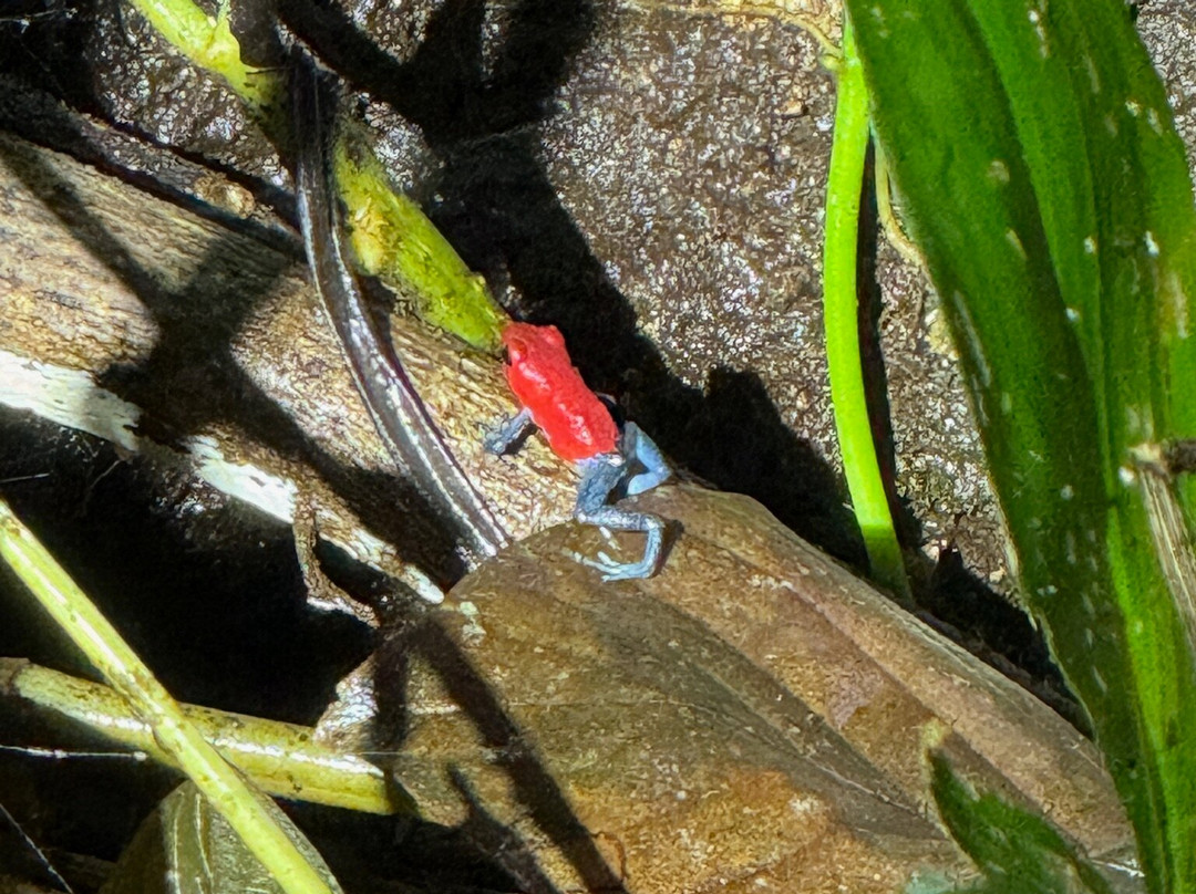 No Limit Adventures CR-利比里亚必去景点