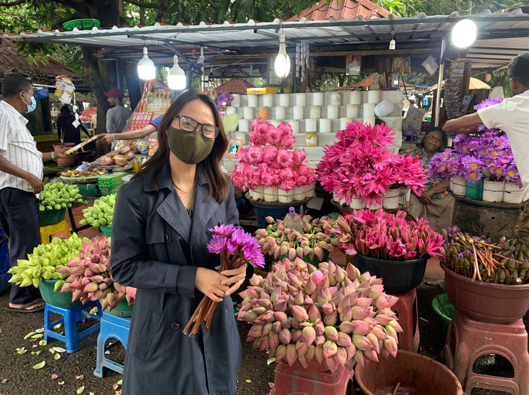 开拉尼亚寺-科伦坡必去景点