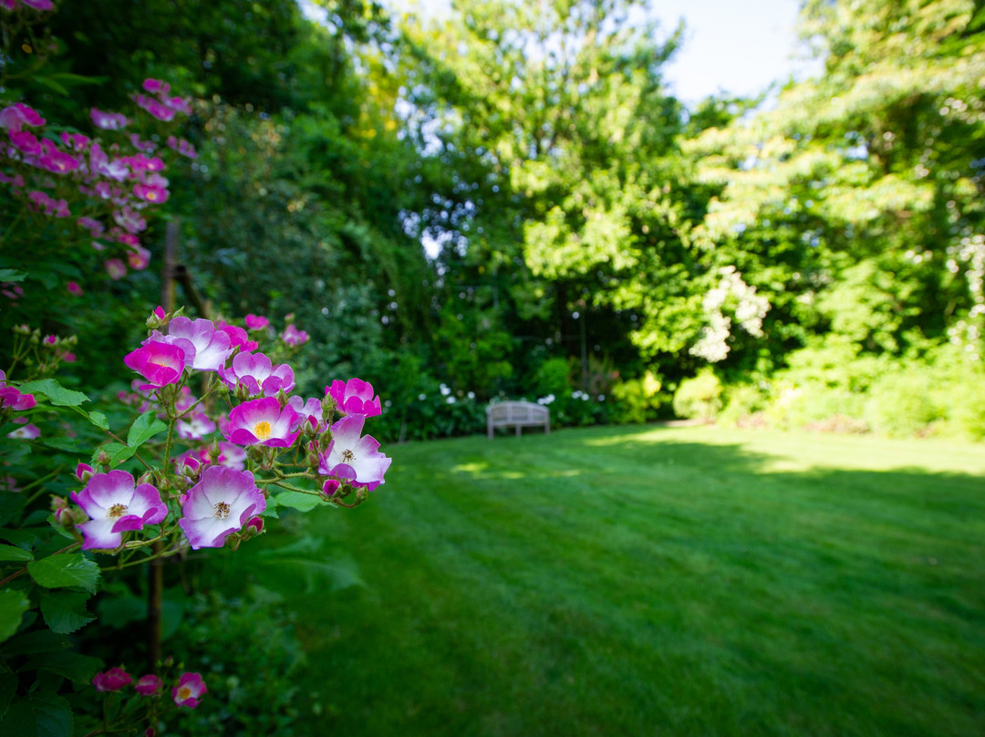 Parco Giardino Tenuta S. Apollonio-Castel Goffredo必去景点