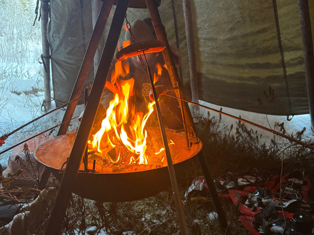 征服北极之旅-罗瓦涅米必去景点