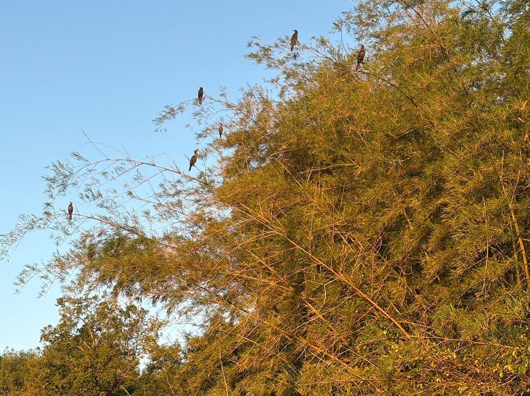 Navegando Ituzaingó-Ituzaingo必去景点
