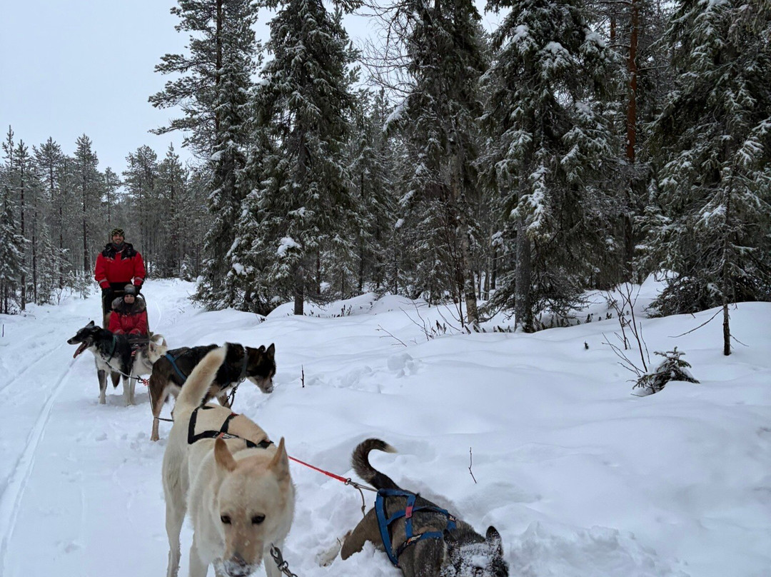Huskypoint-罗瓦涅米必去景点