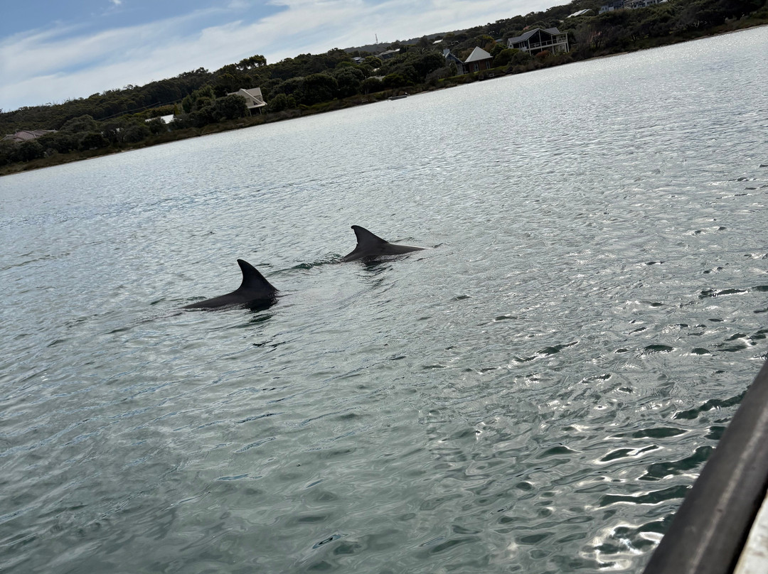 Augusta River tours-奥古斯塔必去景点