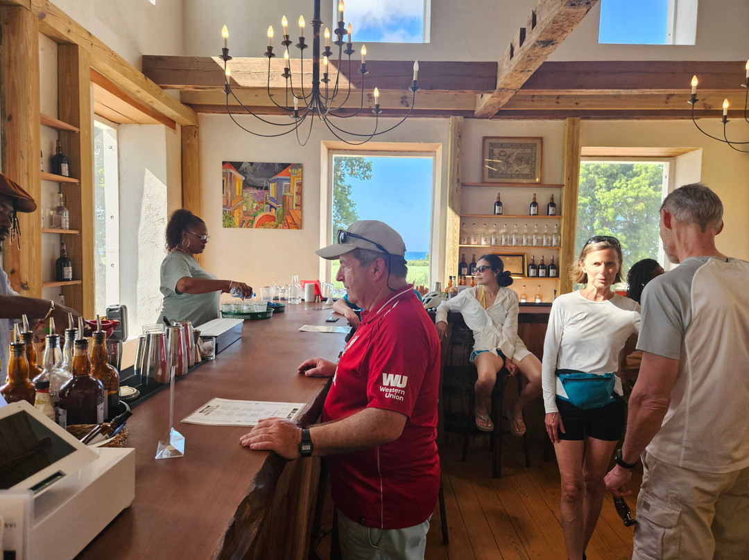 Island Life Adventures-Frederiksted必去景点