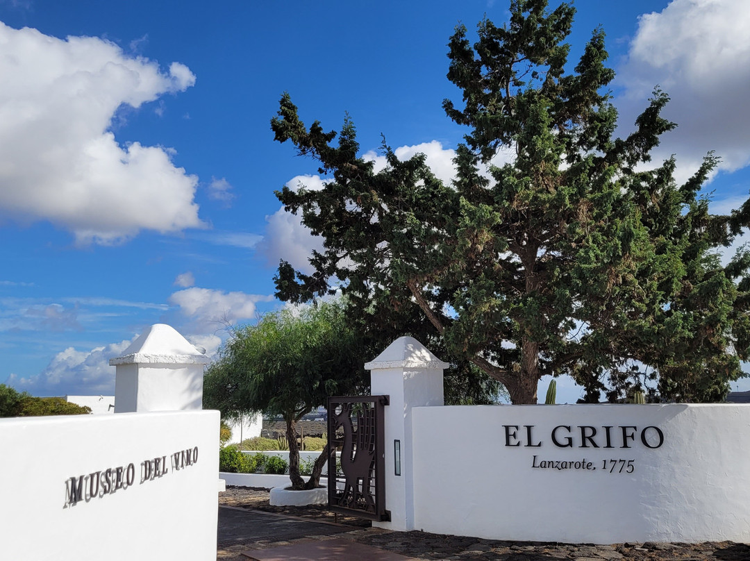 El Grifo - Museo del Vino-San Bartolome必去景点