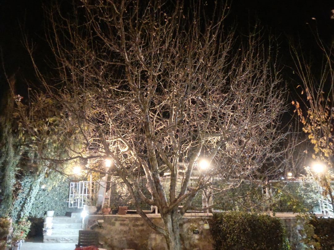 Rangri Homestead Manali主图