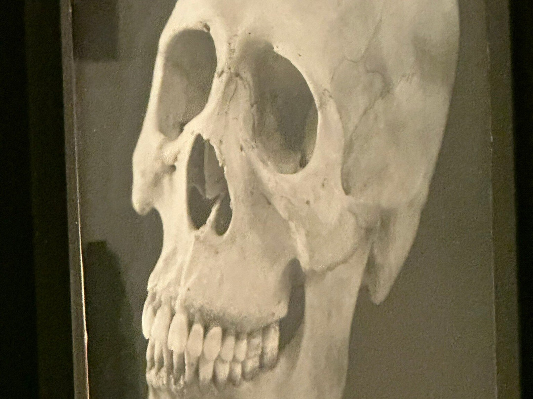 Kunsthalle-比勒费尔德必去景点