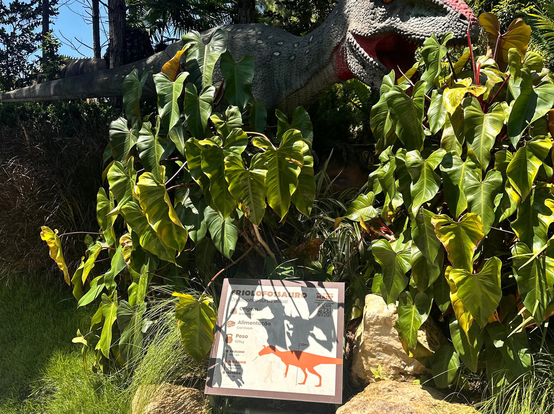 Aventura Jurássica-康泊琉海水浴场必去景点