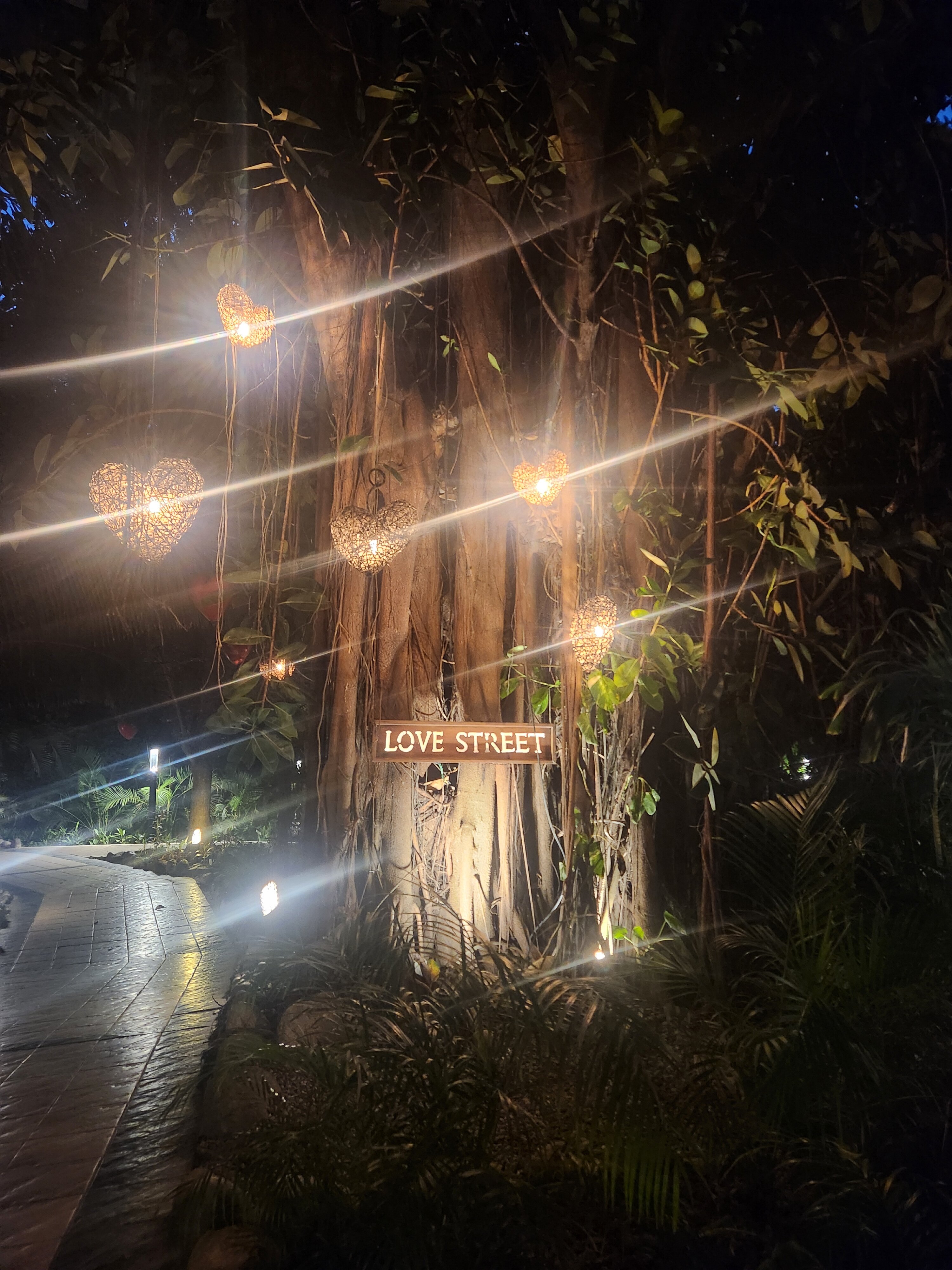 Grand Palladium Vallarta Resort & Spa-官方