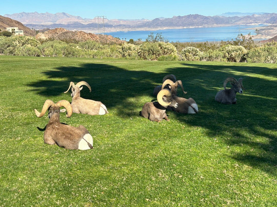 Hemenway Park-博尔德城必去景点