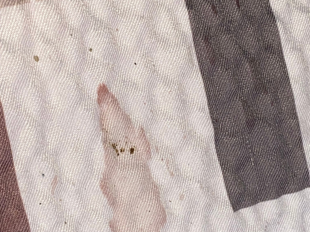 Red Roof Inn & Suites Hermitage主图