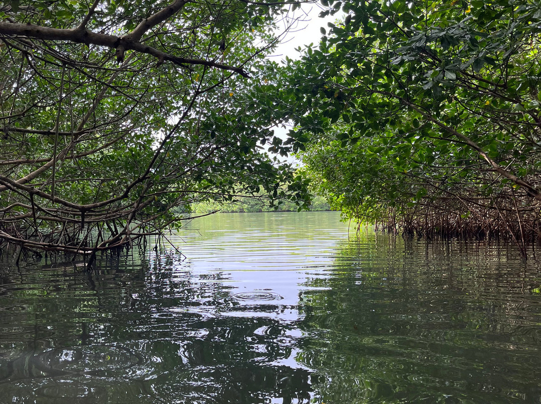 Yalodé Kayak Canyon Bain De Forêt-瓜德罗普岛必去景点