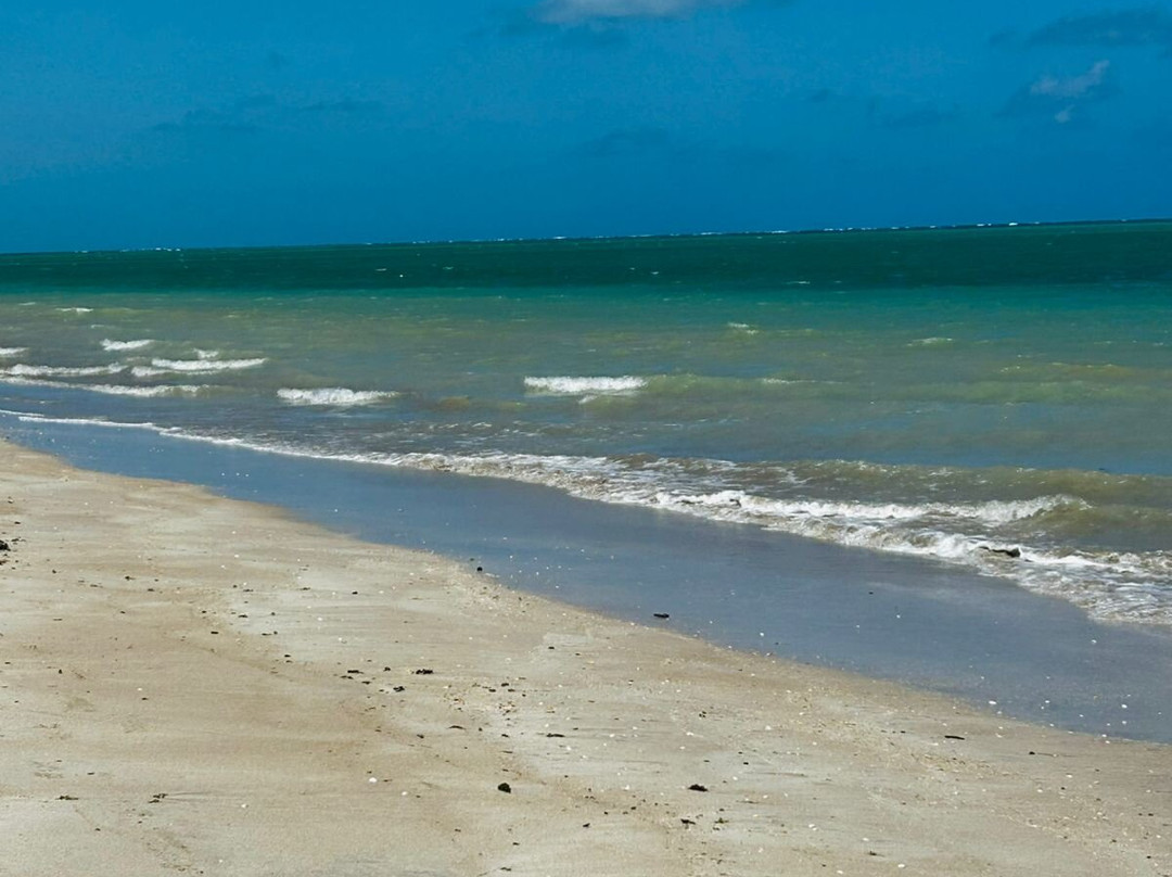 Praia Ponta de Mangue-Maragogi必去景点