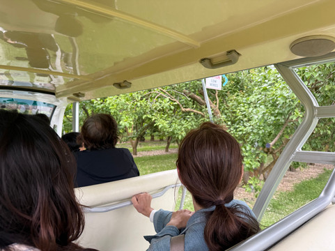 Jackson Orchards-克伦威尔镇必去景点