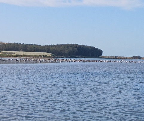 Moulay Bousselham Lagoon-Moulay Bousselham必去景点