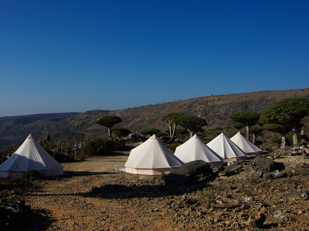 Traveling  Socotra-索科特拉岛必去景点