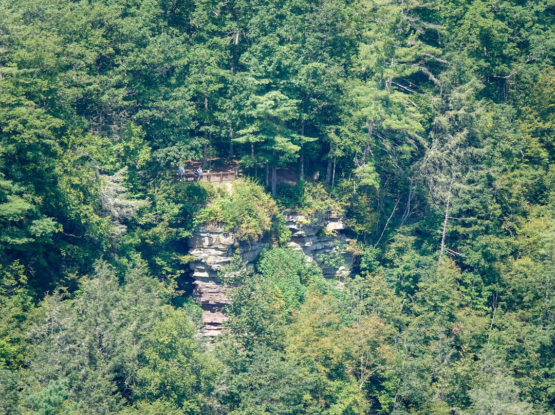 Colton Point State Park-Wellsboro必去景点