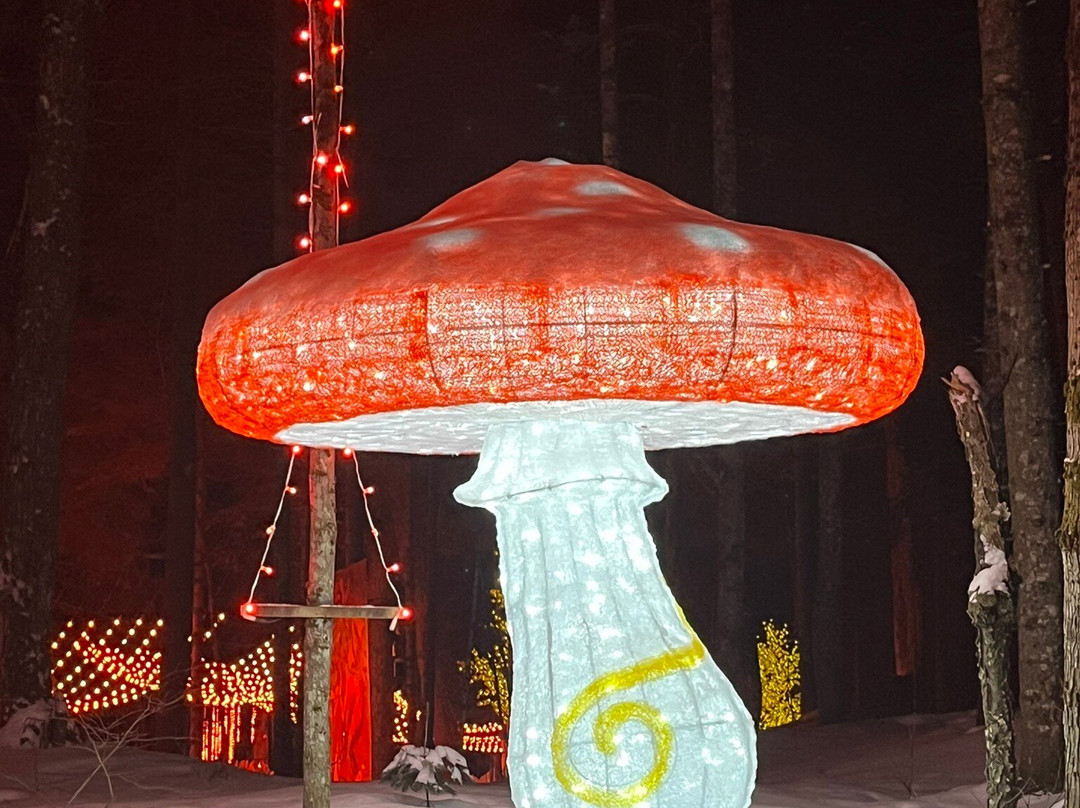 Sandhill Nursery-亨茨维尔必去景点