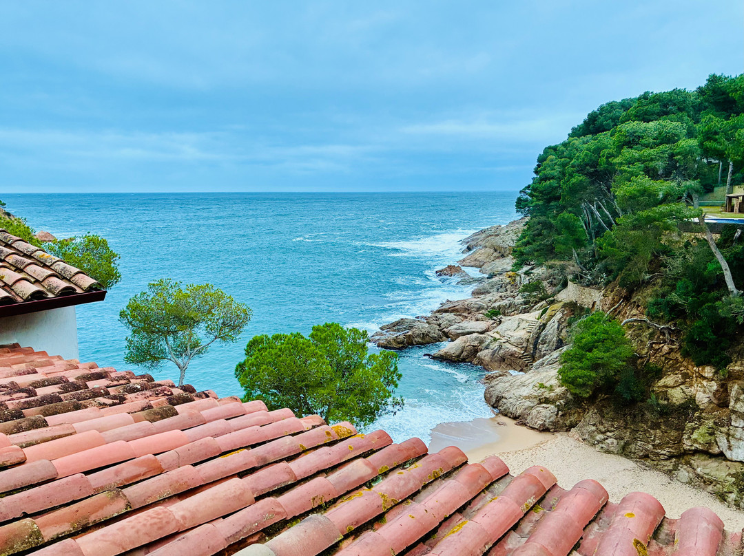 豪斯达里罗酒店主图