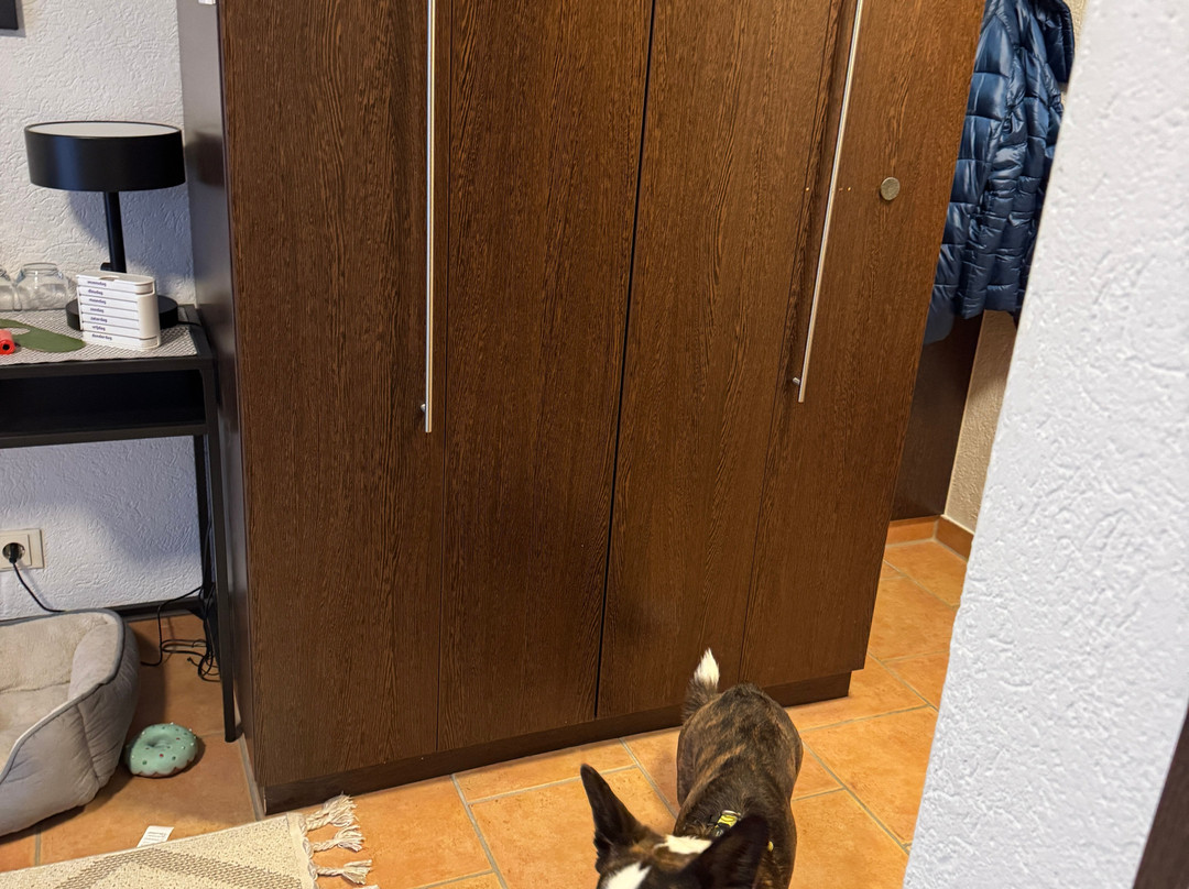 佛斯豪斯酒店主图