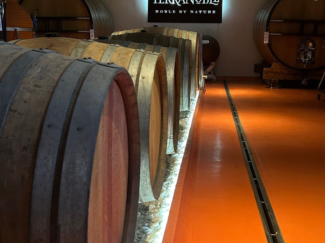 Viña Terranoble-San Clemente必去景点