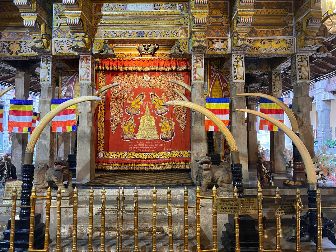 Sam Tours Hambantota-Hambantota必去景点