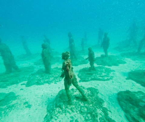 Pura Vida Diving-布兰卡滩必去景点