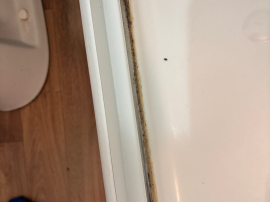 Le Paris Brest主图