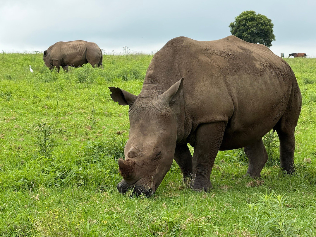 Travel Bug Tours & Safaris