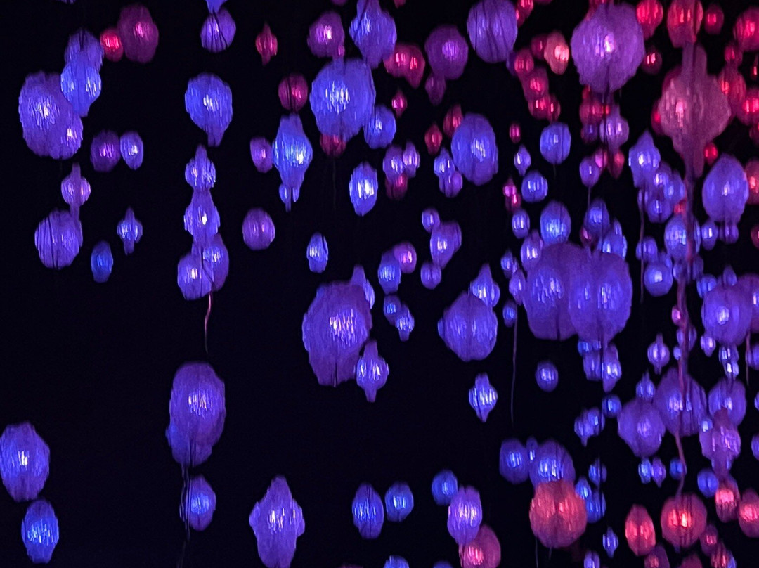 苏黎世美术馆-苏黎世必去景点