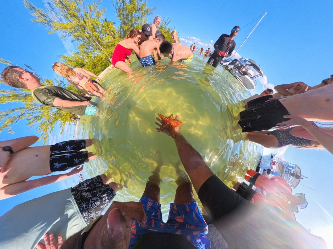 Anchor Tours-西湾必去景点