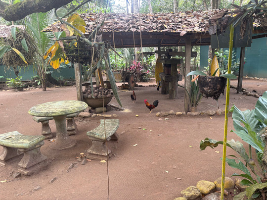 La Mona Galosa Chocolate Farm-哈科必去景点