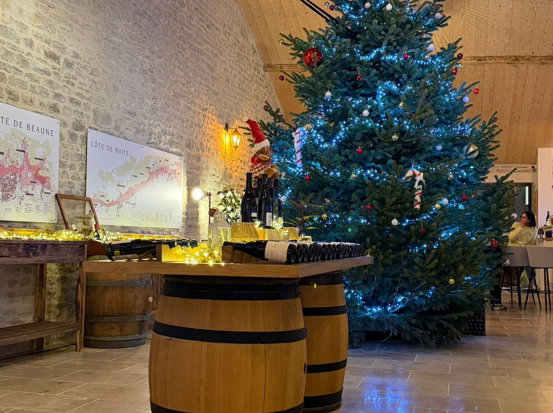 La Cave de l'Ange Gardien-博讷必去景点