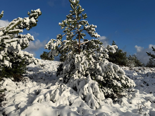 Moel Famau-Mold必去景点
