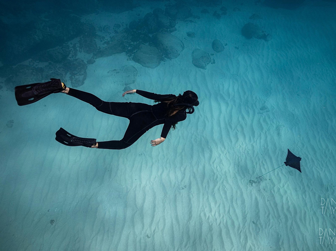 Uncharted Expeditions-圣何塞卡波必去景点