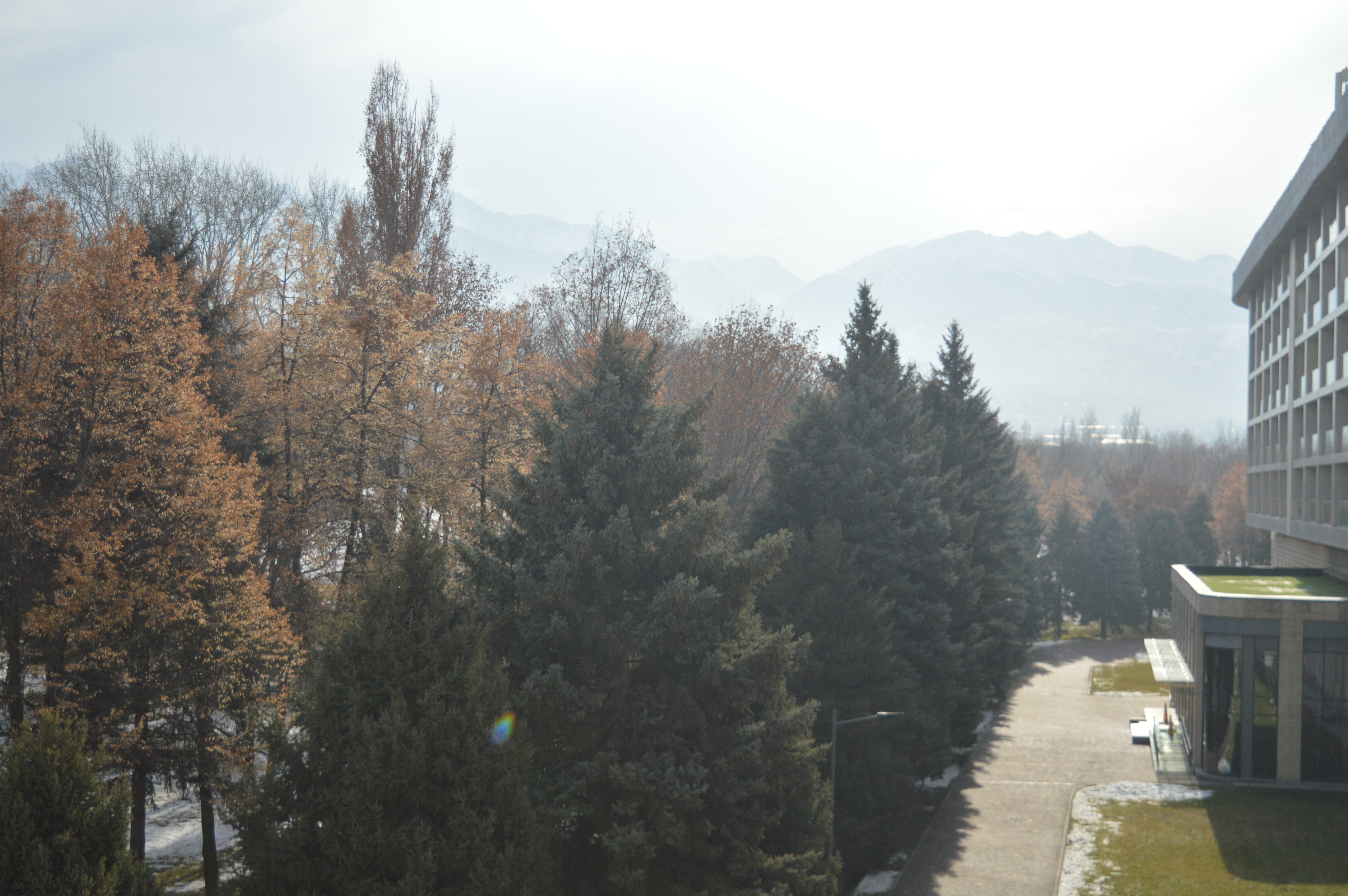 阿拉木图阿拉套瑞士疗养度假酒店-酒店景观