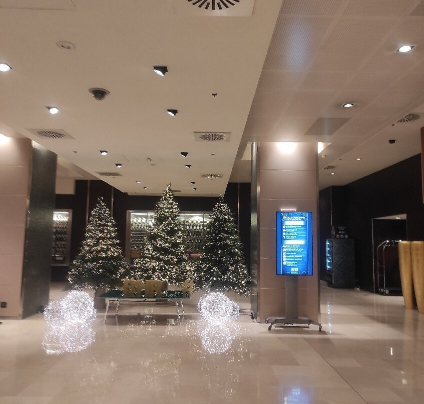 BHR特拉维索酒店主图