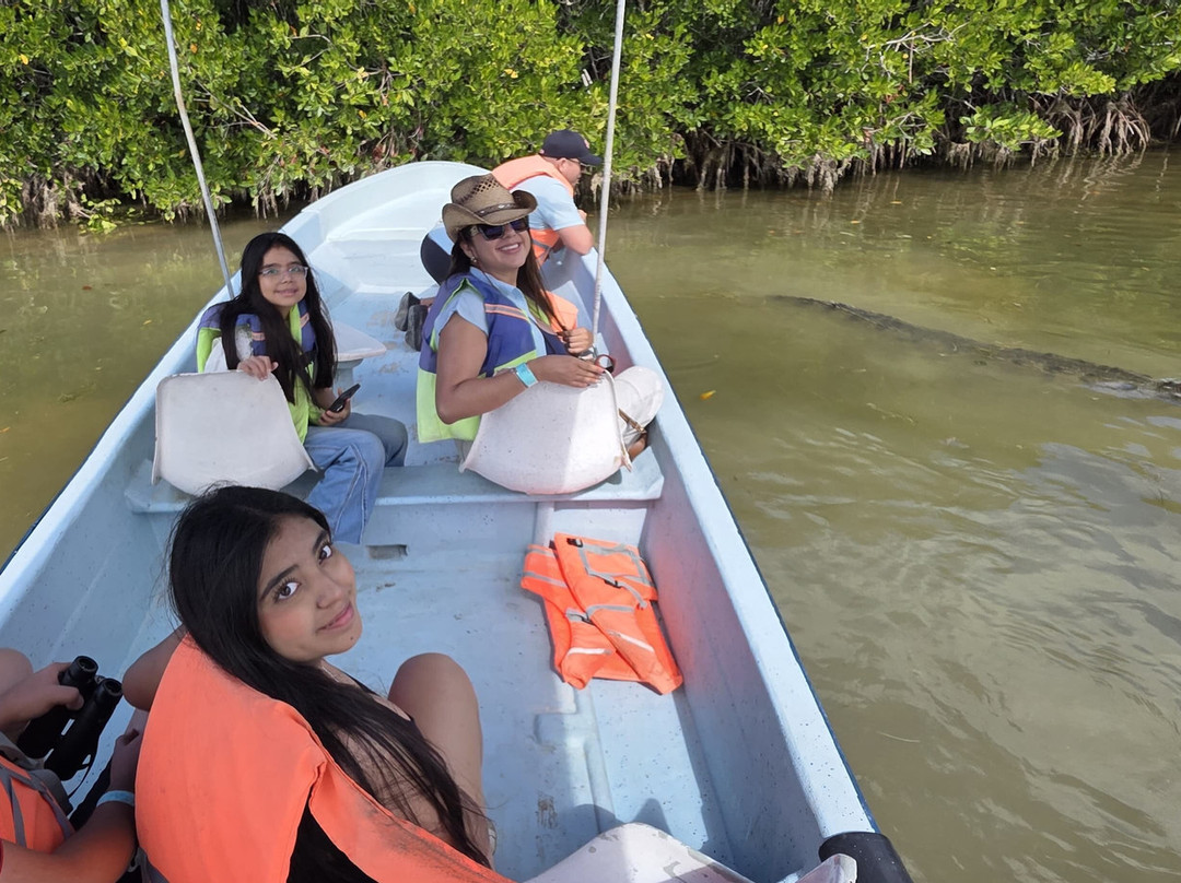 Flamingo & Nature Tours By William Canto-里奥拉加托斯必去景点